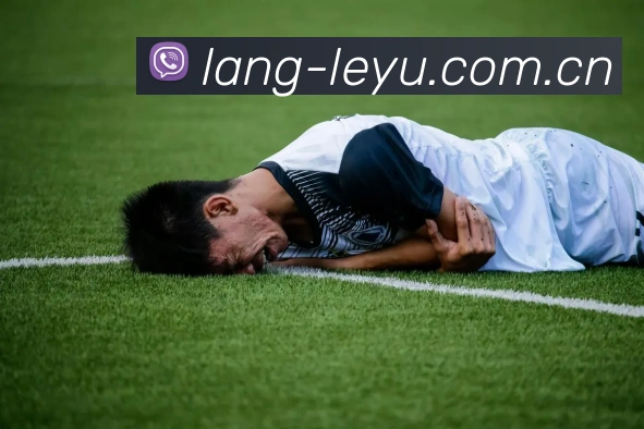Leyu乐鱼体育用户协议